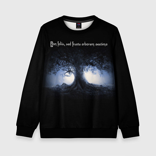 Детский свитшот Non foliis, sed fructu arborem aestima - Оценивай / 3D-Черный – фото 1