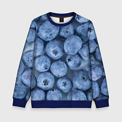 Свитшот детский Голубика - фон, цвет: 3D-синий