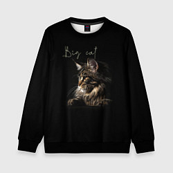 Свитшот детский Big cat Maine Coon, цвет: 3D-черный