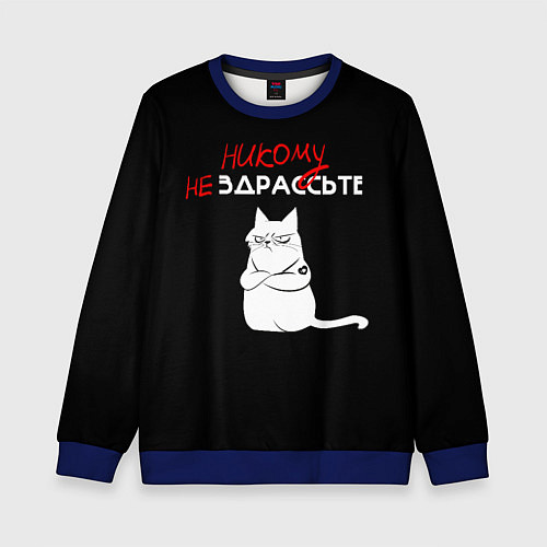 Детский свитшот Неприветливый кот / 3D-Синий – фото 1