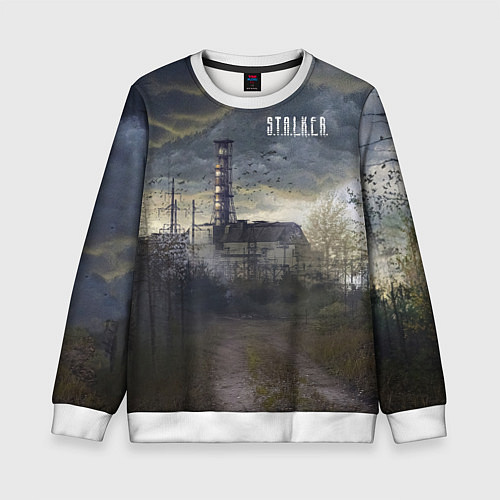 Детский свитшот STALKER Саркофаг / 3D-Белый – фото 1