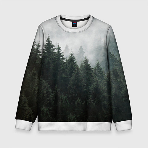 Детский свитшот Туманный хвойный лес / 3D-Белый – фото 1