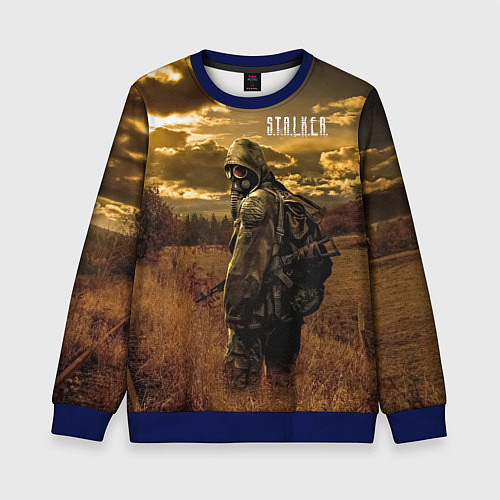 Детский свитшот STALKER В Поле / 3D-Синий – фото 1