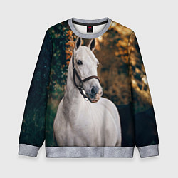 Детский свитшот Белая лошадка