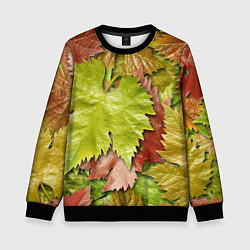 Свитшот детский Осенние листья клёна - паттерн, цвет: 3D-черный