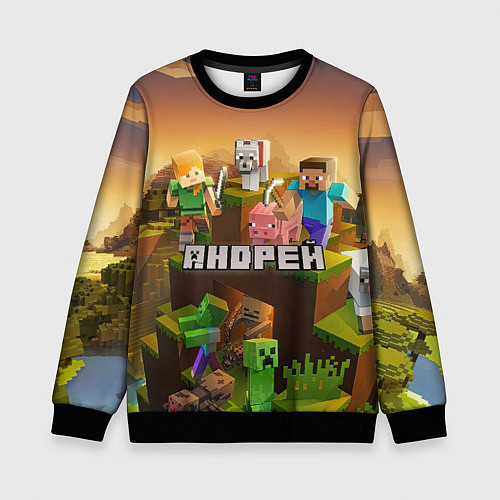 Детский свитшот Андрей Minecraft / 3D-Черный – фото 1