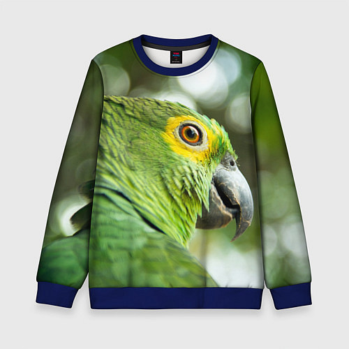 Детский свитшот Попугaй / 3D-Синий – фото 1