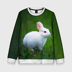 Свитшот детский Кролик на фоне травы, цвет: 3D-белый