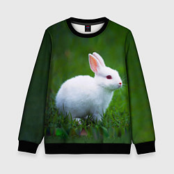 Свитшот детский Кролик на фоне травы, цвет: 3D-черный