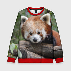 Свитшот детский Красная панда, цвет: 3D-красный