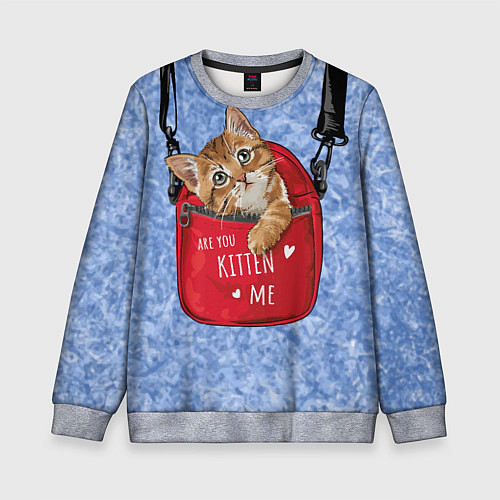Детский свитшот Are you kitten me / 3D-Меланж – фото 1