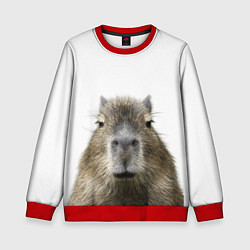 Свитшот детский Капибара пофигист, цвет: 3D-красный