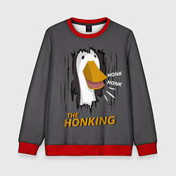 Детский свитшот The honking