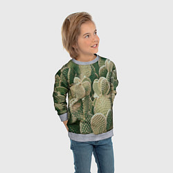 Свитшот детский Поле кактусов, цвет: 3D-меланж — фото 2