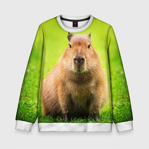 Детский свитшот Capybara on green grass / 3D-Белый – фото 1