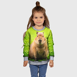 Свитшот детский Capybara on green grass, цвет: 3D-меланж — фото 2