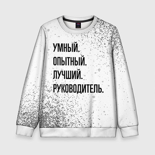 Детский свитшот Умный, опытный и лучший: руководитель / 3D-Белый – фото 1