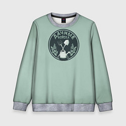 Детский свитшот Дачные войска значок