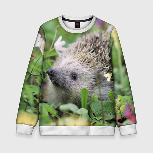 Детский свитшот Лесной ёжик в траве / 3D-Белый – фото 1
