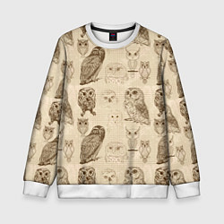 Свитшот детский Эскизы сов тетрадный лист в клетку, цвет: 3D-белый