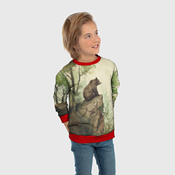 Свитшот детский Мишка на скале, цвет: 3D-красный — фото 2