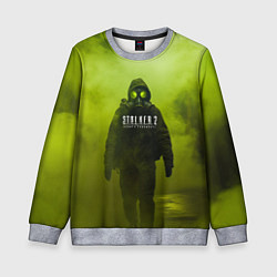 Свитшот детский Stalker кислотный туман, цвет: 3D-меланж
