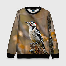 Детский свитшот Дятел в лесу