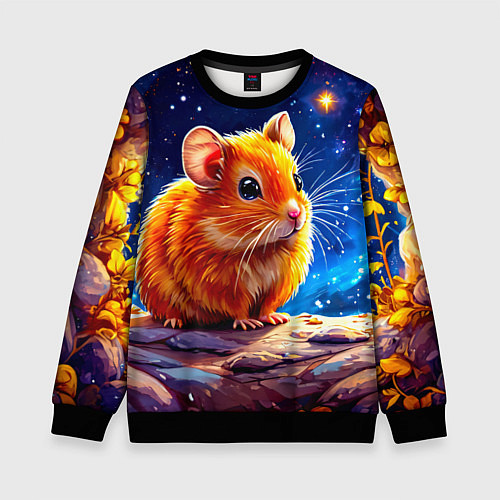 Детский свитшот Хомяк и космическое небо / 3D-Черный – фото 1