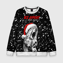 Детский свитшот Все дуреют с этой пурги