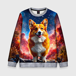 Детский свитшот Корги и космическое небо