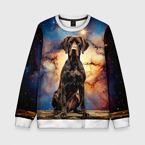 Детский свитшот Курцхаар и космос / 3D-Белый – фото 1