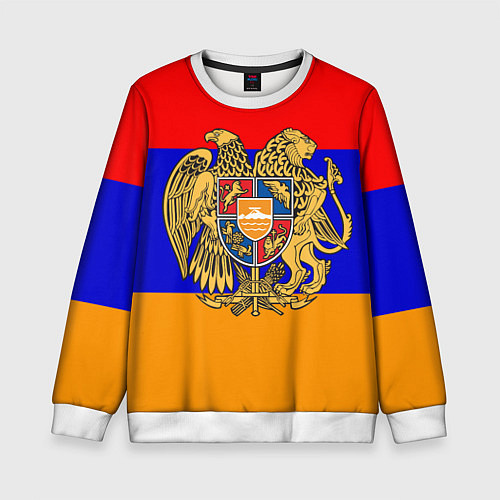 Детский свитшот Герб и флаг Армении / 3D-Белый – фото 1