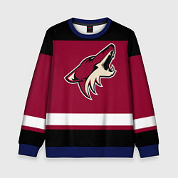 Детский свитшот Arizona Coyotes