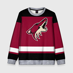 Детский свитшот Arizona Coyotes