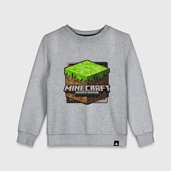 Свитшот хлопковый детский Minecraft: Pocket Edition, цвет: меланж