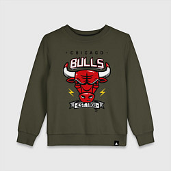 Свитшот хлопковый детский Chicago Bulls est. 1966, цвет: хаки