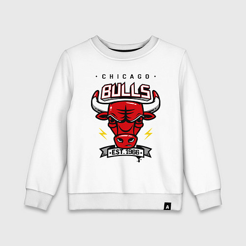 Детский свитшот Chicago Bulls est. 1966 / Белый – фото 1