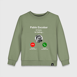 Свитшот хлопковый детский Escobar is calling, цвет: авокадо
