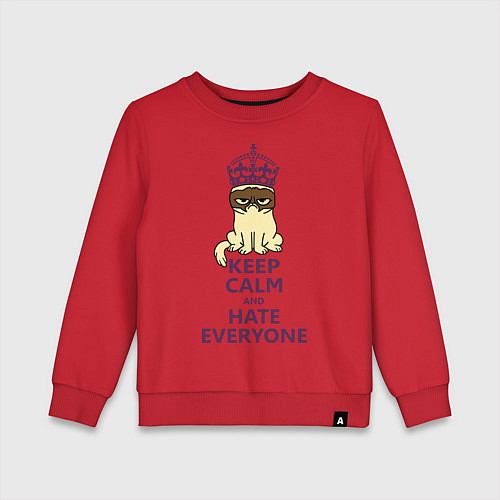 Детский свитшот Keep Calm & Hate Everyone / Красный – фото 1