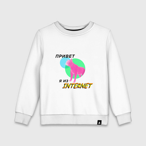 Детский свитшот Привет я из internet / Белый – фото 1