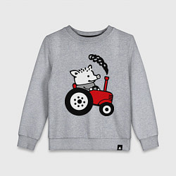 Свитшот хлопковый детский Поросенок Петр, цвет: меланж