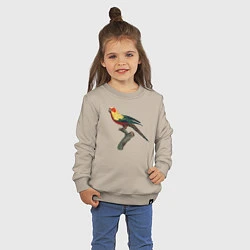 Свитшот хлопковый детский Попугай аратинга, цвет: миндальный — фото 2