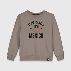 Свитшот хлопковый детский Team Canelo, цвет: утренний латте