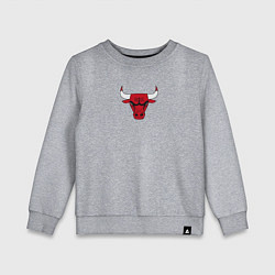 Детский свитшот CHICAGO BULLS