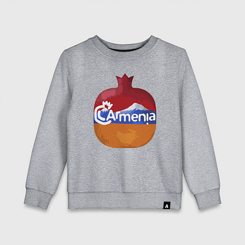 Детский свитшот Армения / Меланж – фото 1