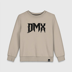 Детский свитшот DMX Logo Z