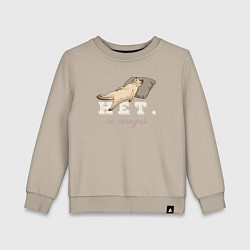 Свитшот хлопковый детский Котик мем, нет, не сегодня, цвет: миндальный