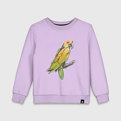 Свитшот хлопковый детский Любимый попугай, цвет: лаванда