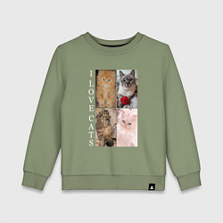 Свитшот хлопковый детский I LOVE CATS Я ЛЮБЛЮ КОШЕК, цвет: авокадо