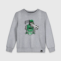 Свитшот хлопковый детский Футбольный клуб Краснодар с обезьяной, цвет: меланж